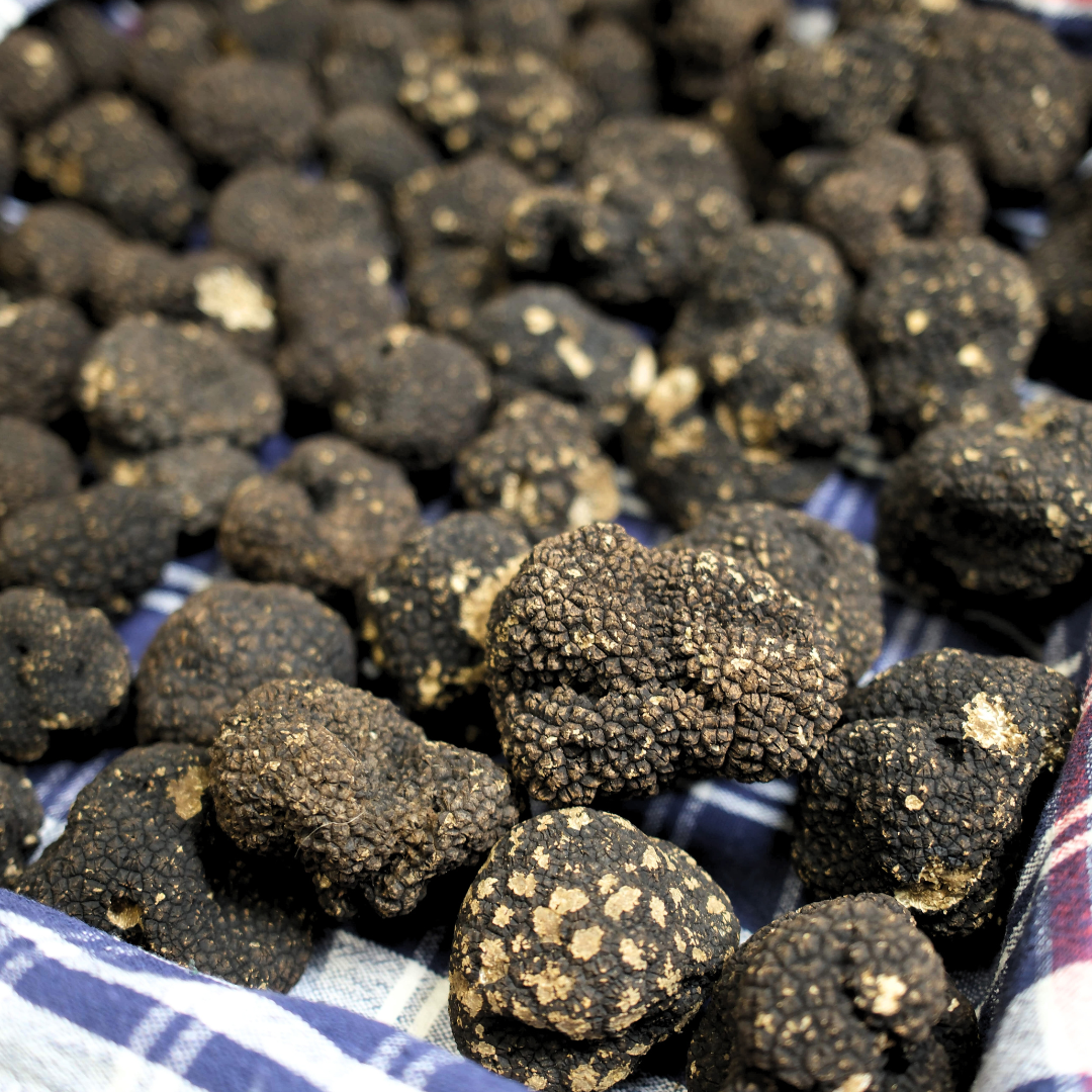 Fresh Autumn Black Truffles 100g