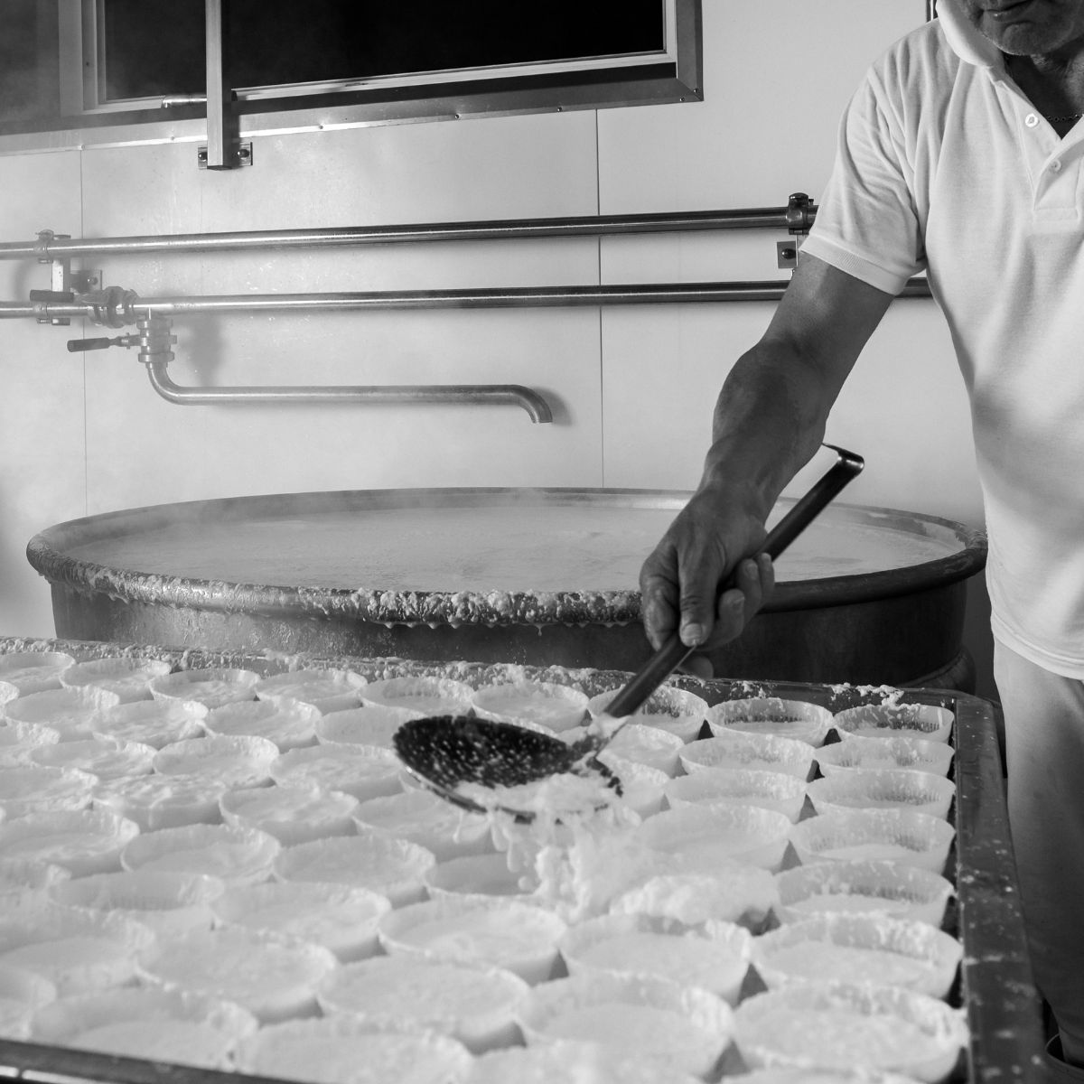 Fresh Ricotta Cheese 250g