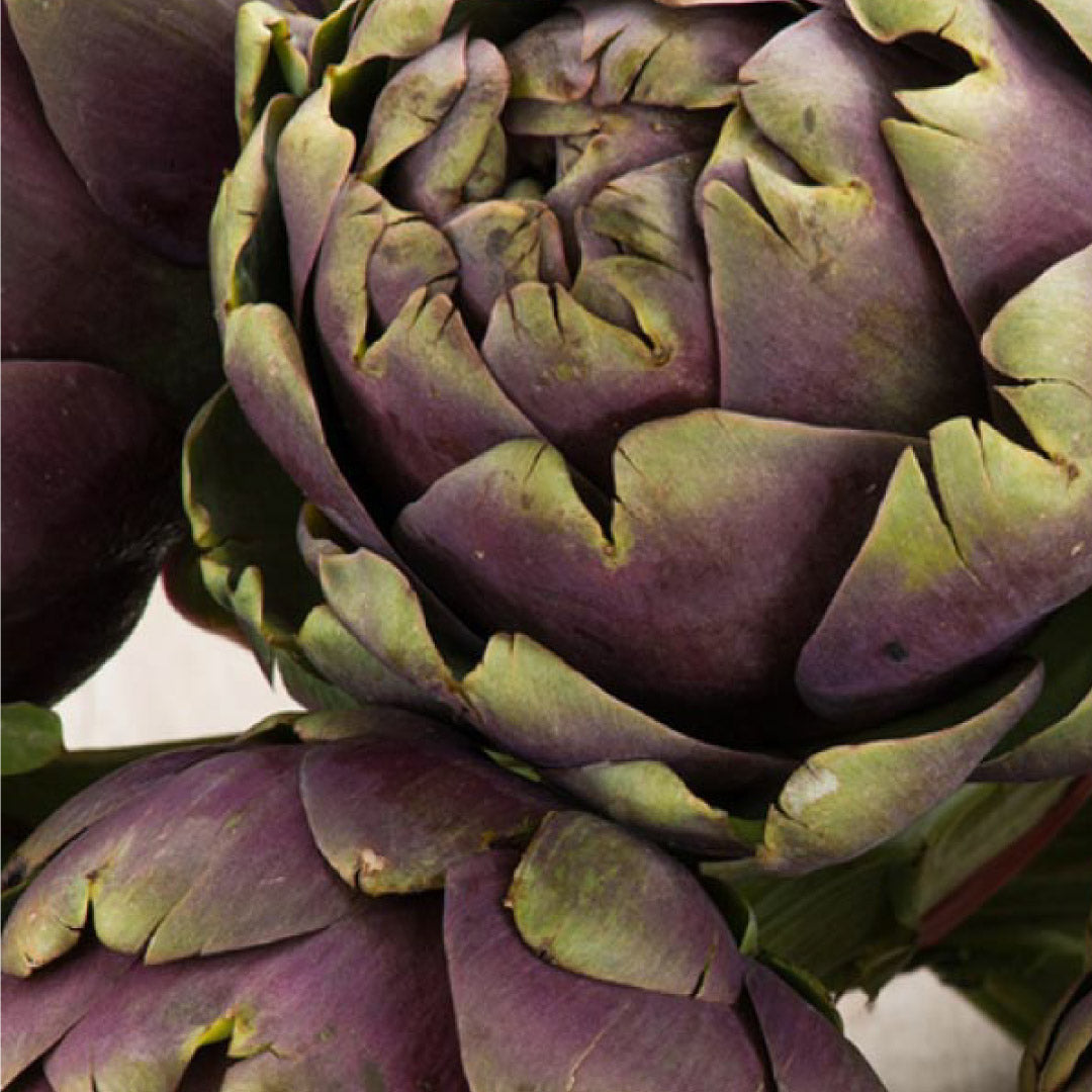 Grilled Artichoke in oil 1kg