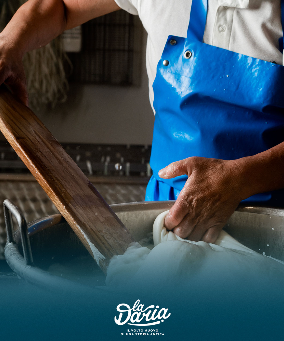 Nodini Fresh Cheese 250g