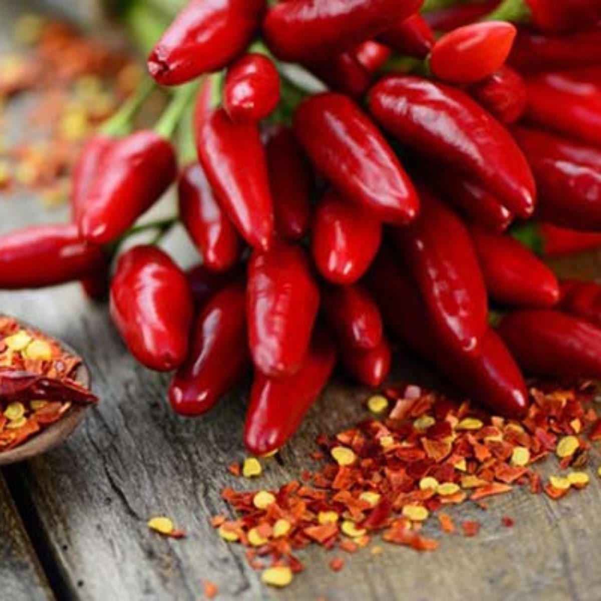 Organic Sicilian Dry Chili whole 25g