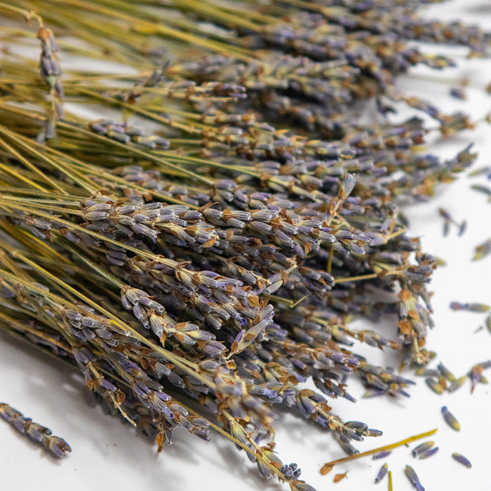 Organic Sicilian Lavender in Stem 25g