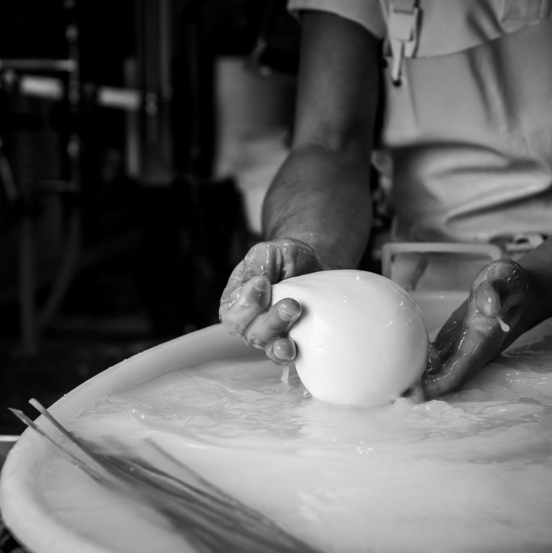 What's the Difference Between Burrata and Burrata di Andria IGP?
