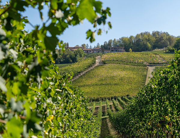Barolo Villero DOCG 2017
