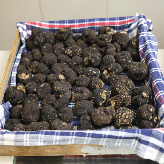 Fresh Autumn Black Truffles 100g