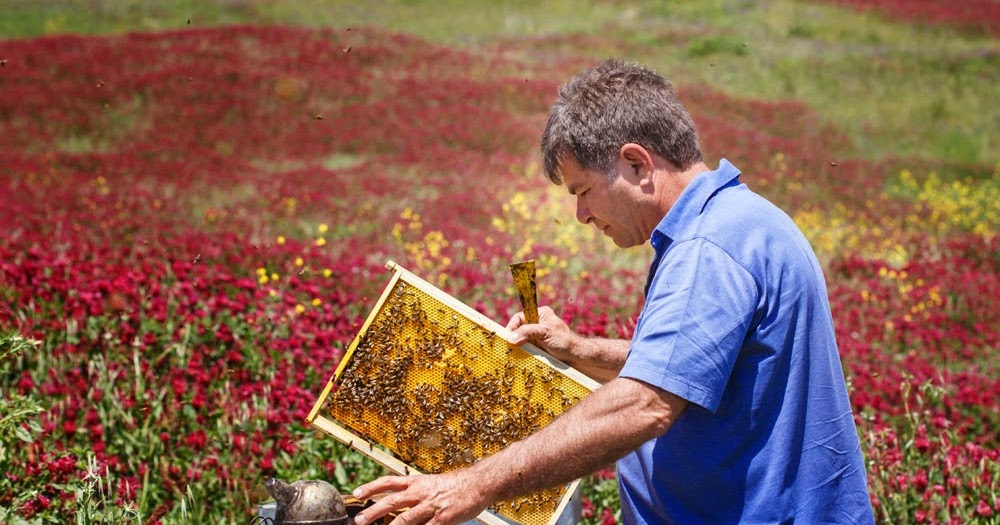 Sulla Raw Honey 250g