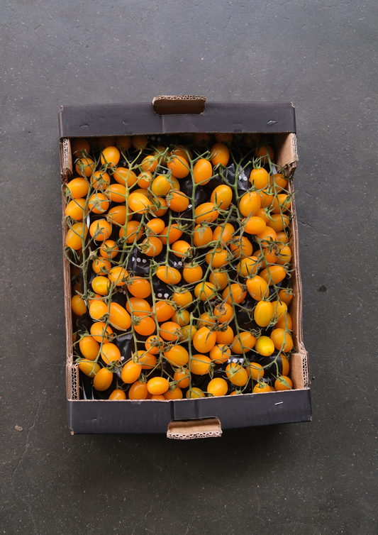 Datterino Yellow Tomatoes 3kg
