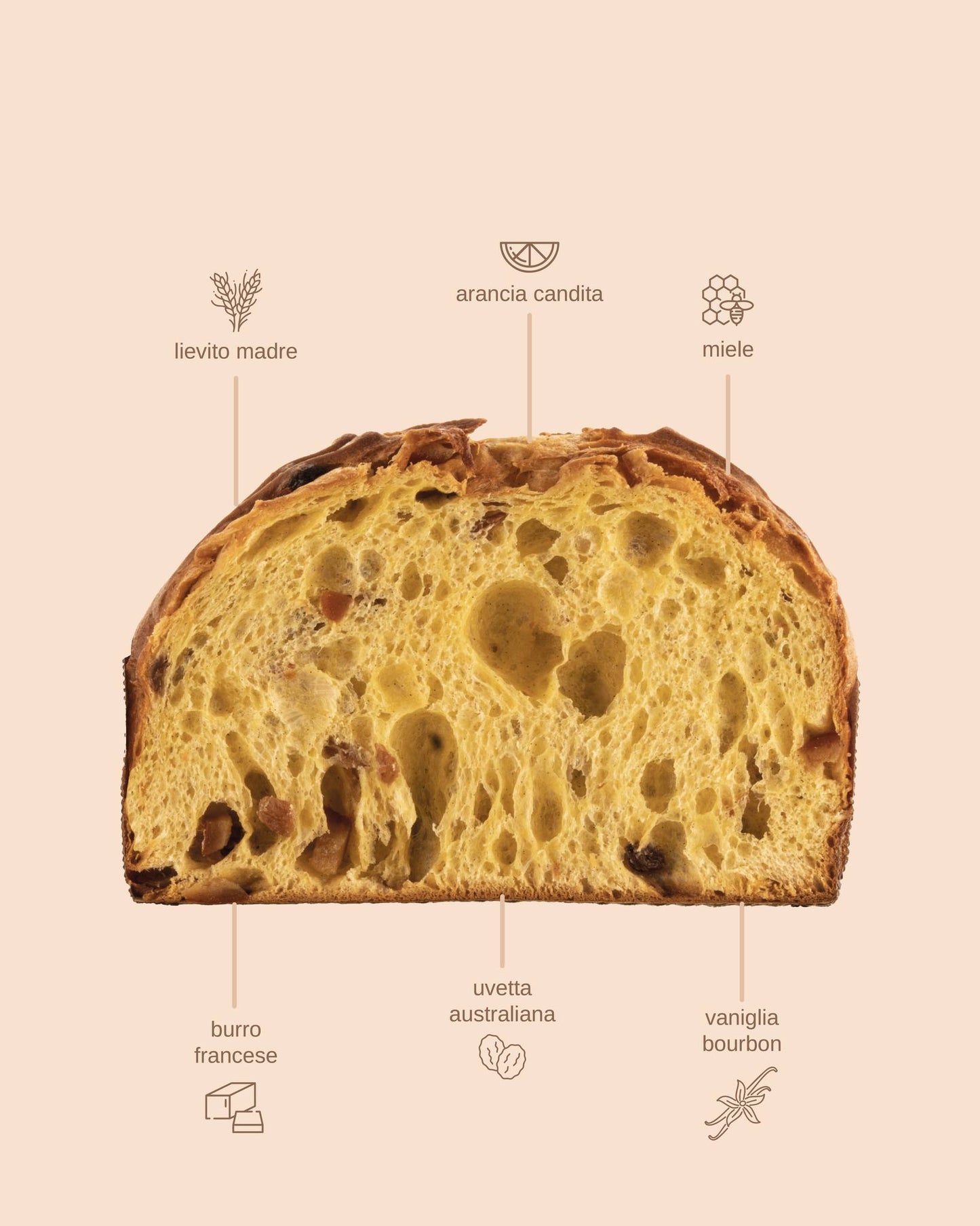 DOLCEVIA - Traditional Panettone