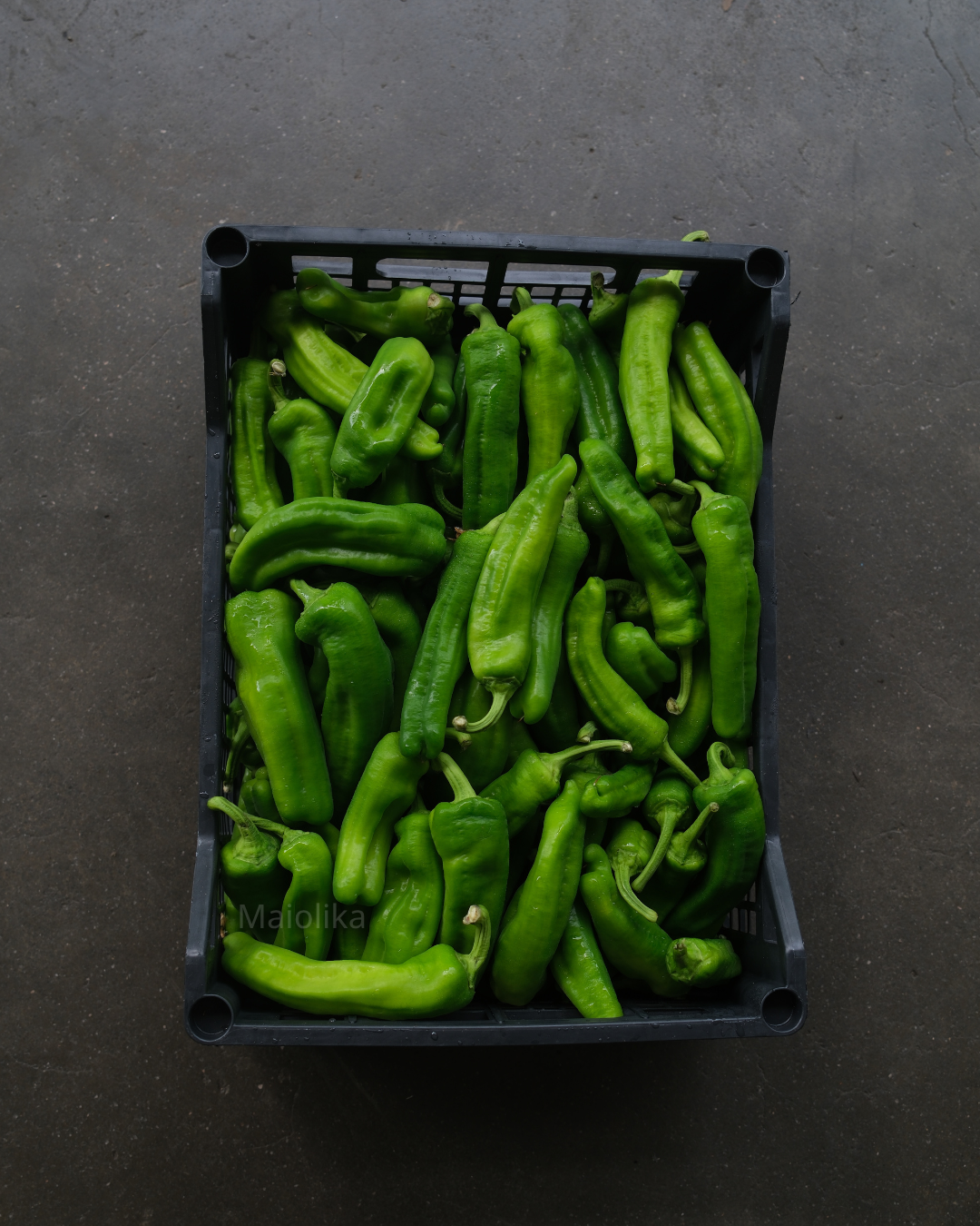 ITALIAN PEAK SEASON BOX