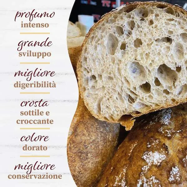 Super Diastatic Malt Extract (Barley) Paste