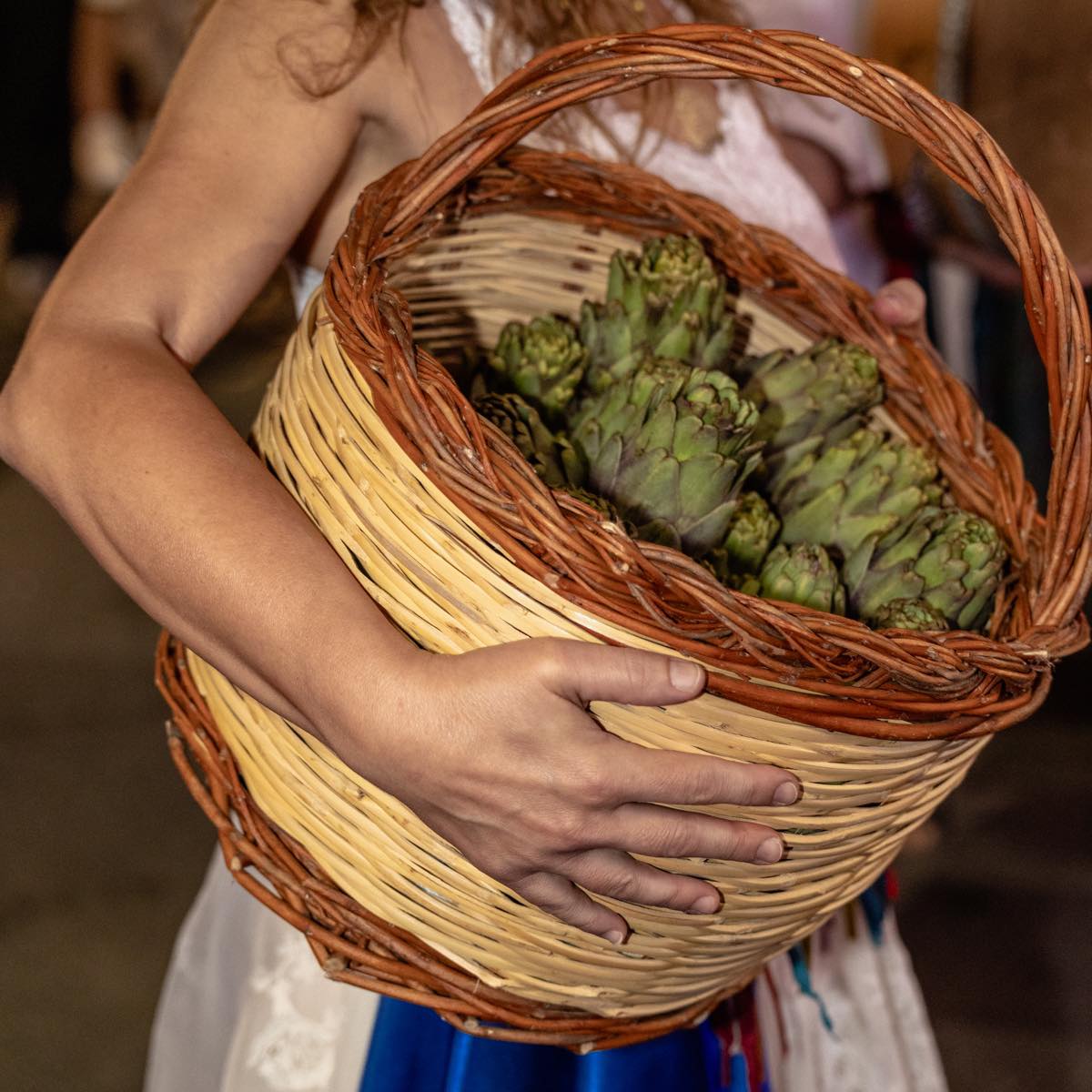 Grilled Artichoke in oil 1kg