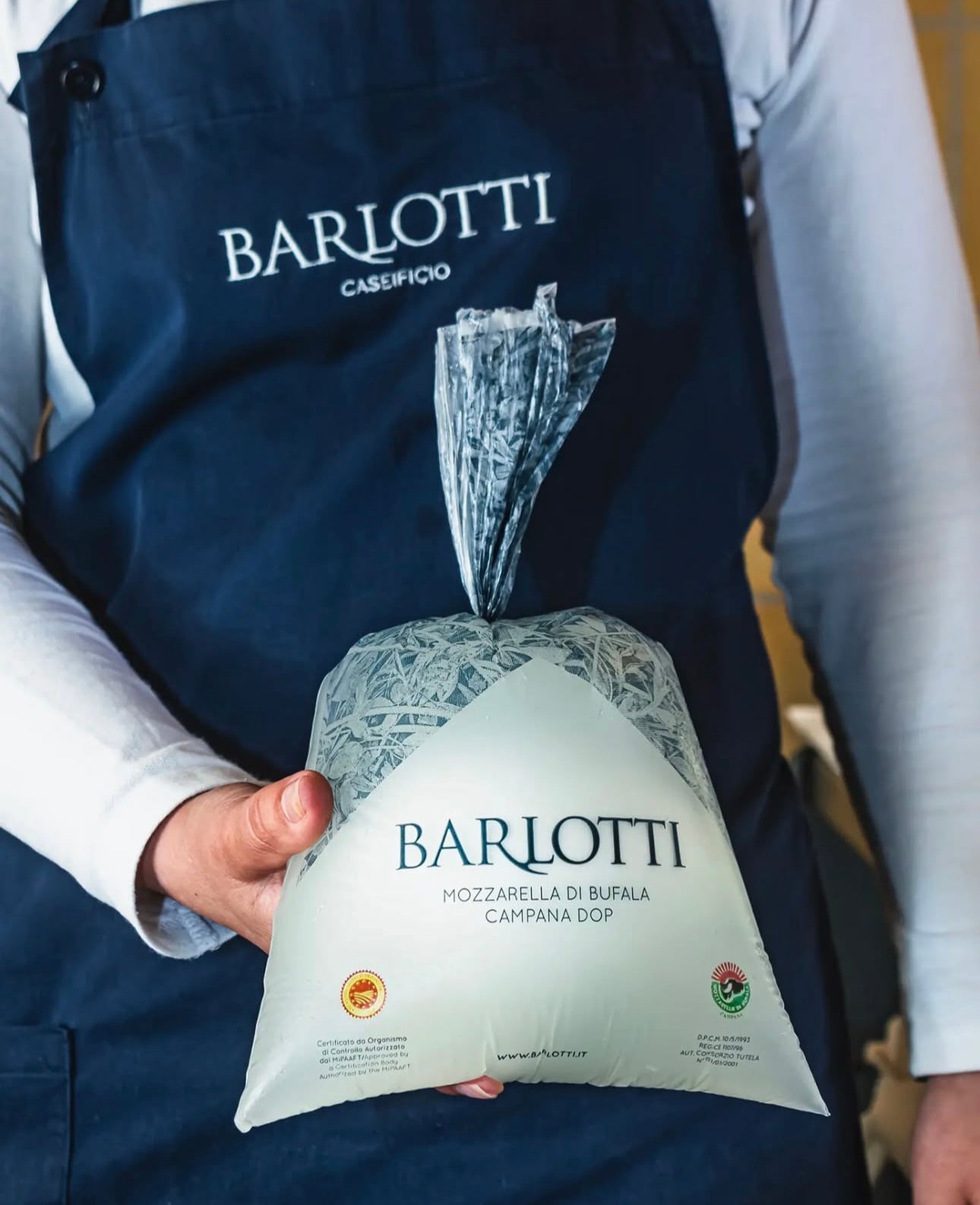 Artisanal Buffalo Mozzarella DOP 2X125g