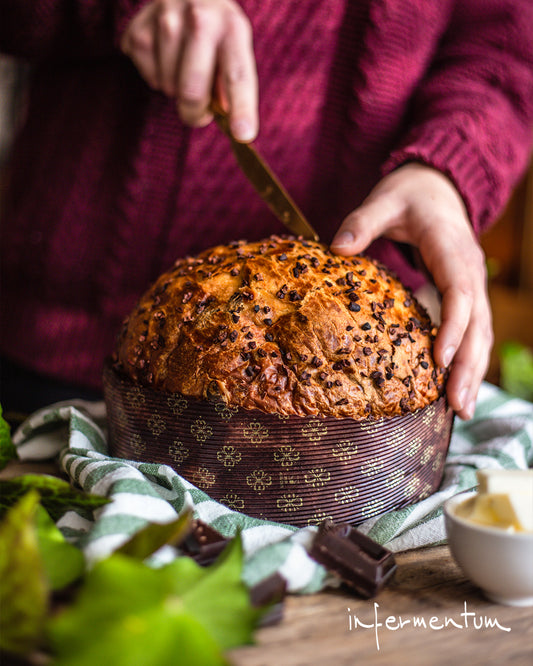 Infermentum - Apricot and Dark Chocolate Panettone