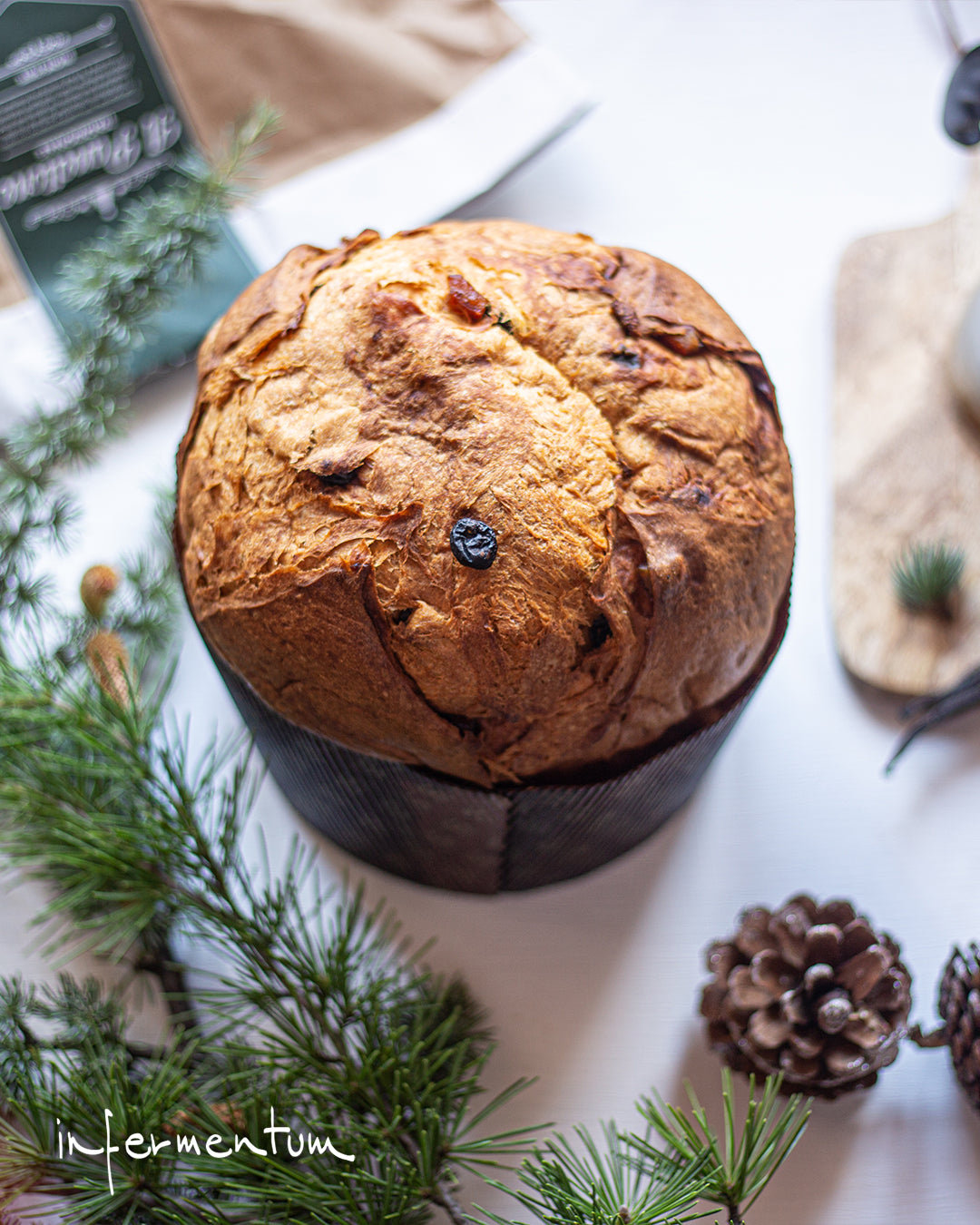 Infermentum - Panettone Tradizionale (M0281)
