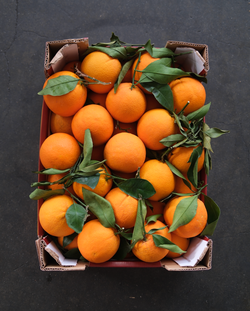 Italian Surprise Box – Fresh from Italy
