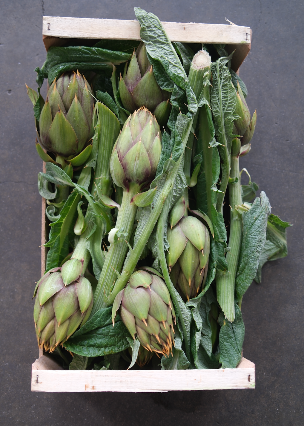 Italian Surprise Box – Fresh from Italy