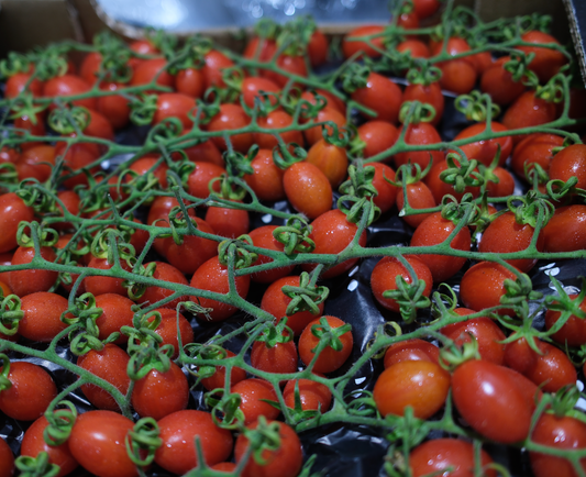 Datterino Tomatoes 3kg