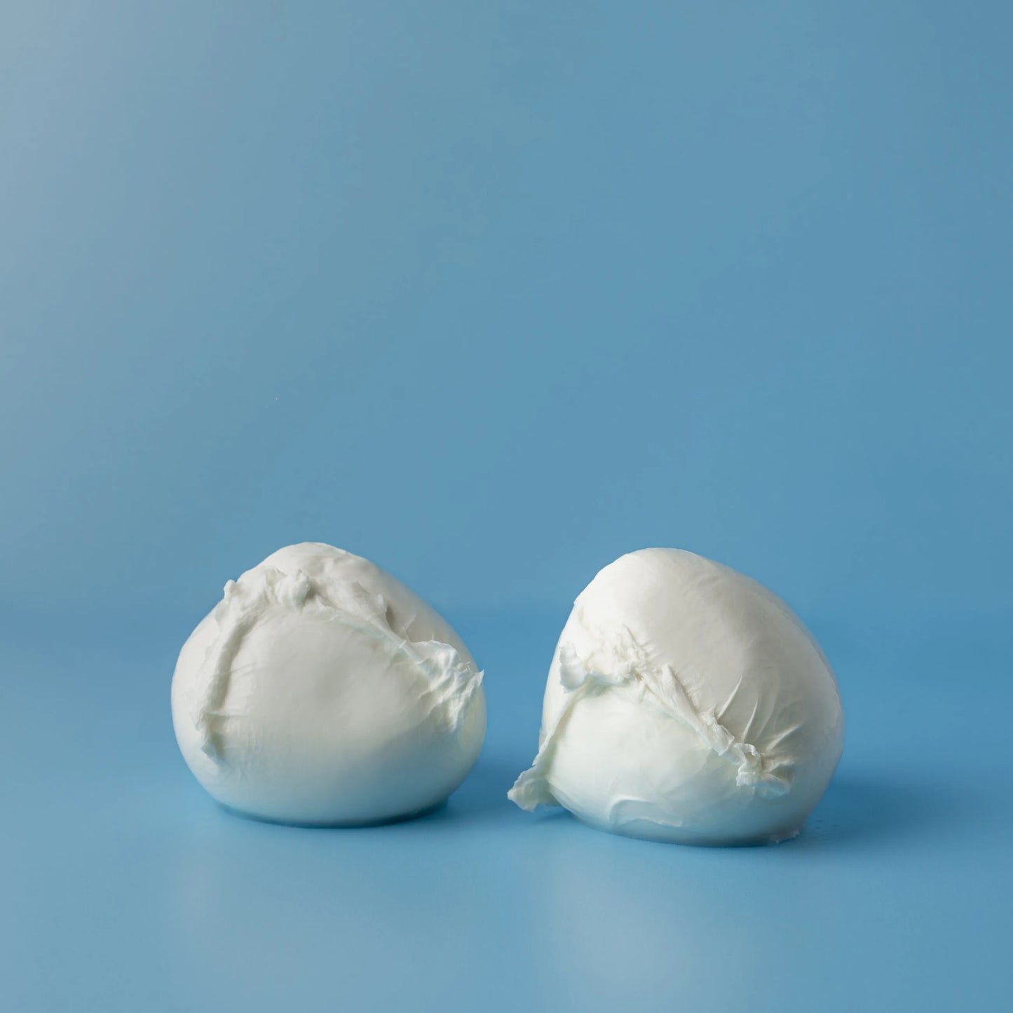 Artisanal Buffalo Mozzarella DOP 2x125g