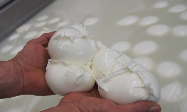 Artisanal Buffalo Mozzarella DOP 2x125g