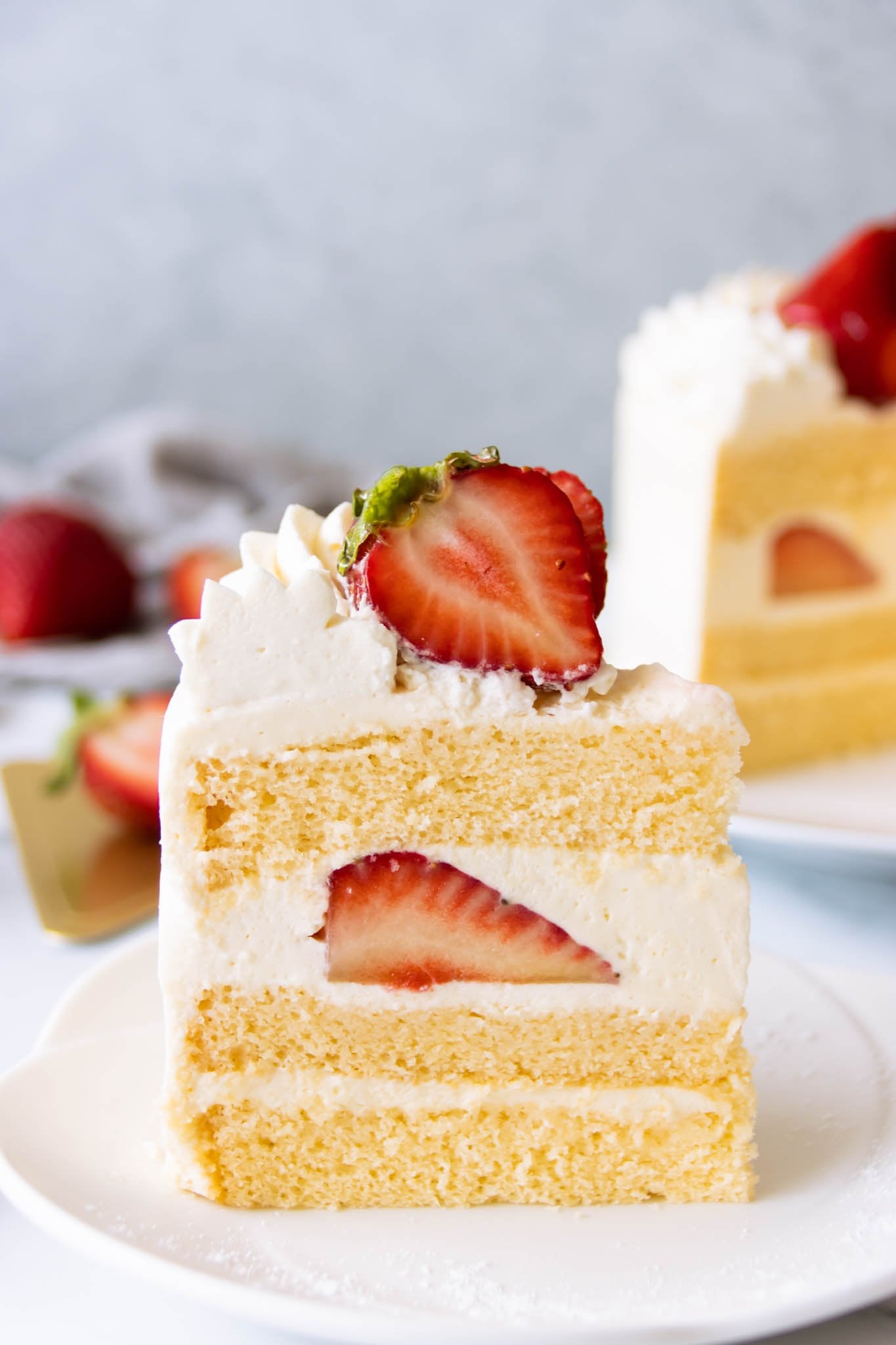 Torta 00 flour 25kg